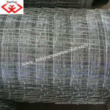 china supplier field fence with ISO9001 & SGS certificates